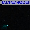 RASSCALS NRGs313
