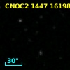 CNOC2 1447 161985