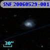 SNF 20060529-001