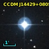 CCDM J14429+0805AB