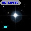 HD 130502