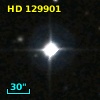 HD 129901