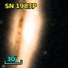 SN 1983P