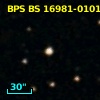 BPS BS 16981-0101