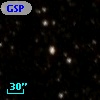 GSPC P117-D