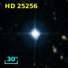 HD  25256