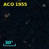 ACO  1955