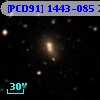 [PCD91] 1443-085 2
