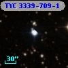 TYC 3339-709-1