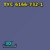 TYC 6166-732-1