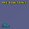 TYC 6166-1026-1