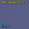 TYC 6166-1117-1