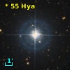 *  55 Hya