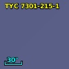 TYC 7301-215-1
