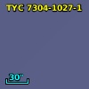 TYC 7304-1027-1