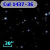 Cul 1437-36