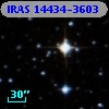 IRAS 14434-3603