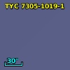 TYC 7305-1019-1