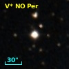 V* NO Per