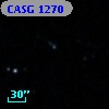 CASG 1270