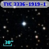 TYC 3336-1919-1