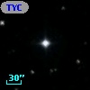 TYC 2019-1077-1