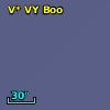 V* VY Boo