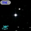 TYC 2017-464-1