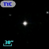 TYC 1484-1037-1