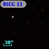 BSCG 13