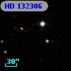 HD 132306
