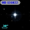 HD 131022
