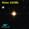 LHS  2999
