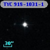 TYC  918-1031-1