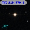 TYC  919-770-1
