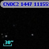 CNOC2 1447 111559