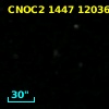 CNOC2 1447 120368