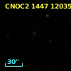CNOC2 1447 120356