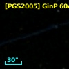 [PGS2005] GinP 60A