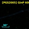 [PGS2005] GinP 60B