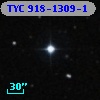 TYC  918-1309-1