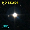 HD 131604