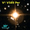 V* V589 Per