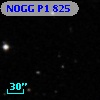 NOGG P1  825