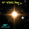 V* V591 Per