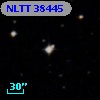 NLTT 38445