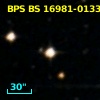 BPS BS 16981-0133