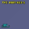 TYC 4987-613-1