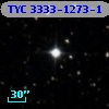 TYC 3333-1273-1