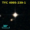 TYC 4995-239-1